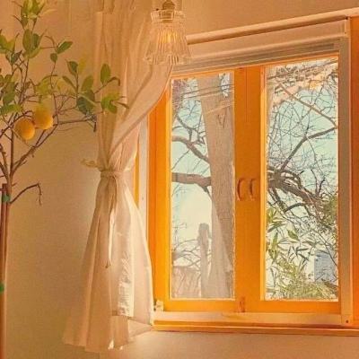 6566体育下载手机版截图